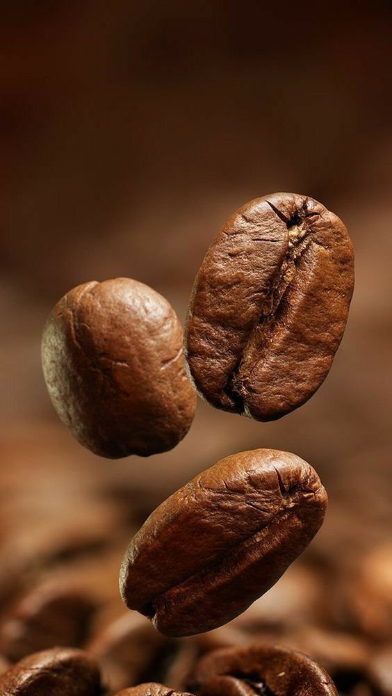 متجر زيوت اعشاب طبيعية